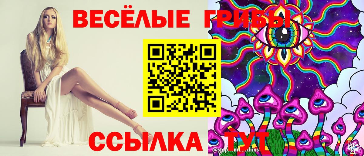 Псилоцибиновые грибы GOLDEN TEACHER Знаменск
